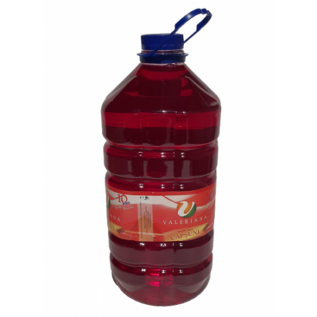 Sirop pentru suc Granita 5 L Capsune