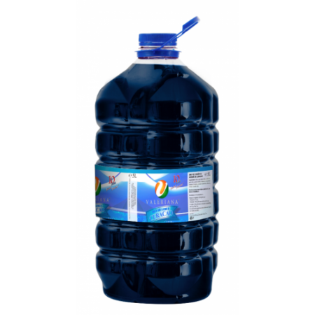Sirop pentru suc Granita 5 L Curacao