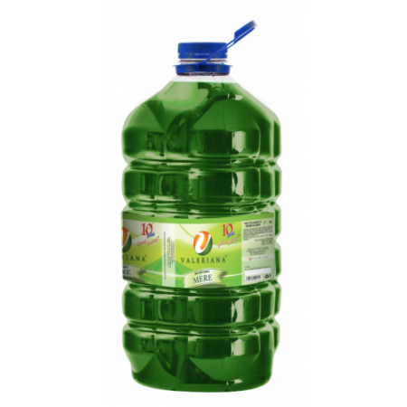 Sirop pentru suc Granita 5 L Mere Verzi