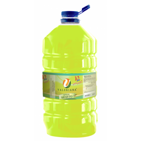 Sirop pentru suc Granita 5 L mojito