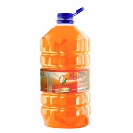 Sirop pentru suc Granita 5 L Portocale