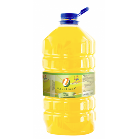 Sirop pentru suc Granita 5 L Soc