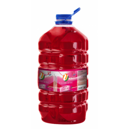 Sirop pentru suc Granita 5 L Zmeura